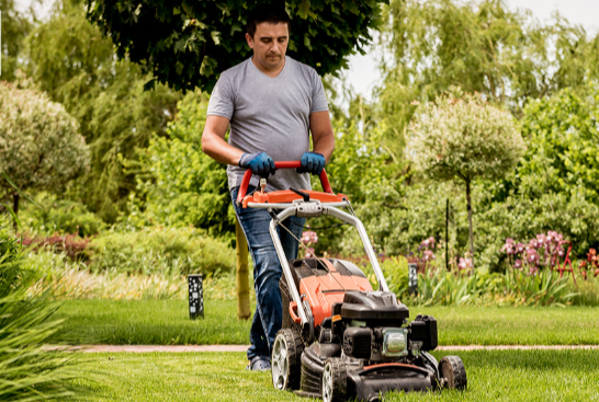Unveiling the Efficiency of the Mexican Lawnmower: A Comprehensive Guide