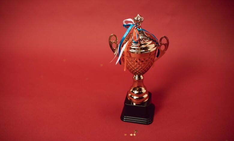 leadership mastery and excellence