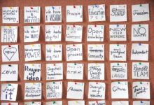 organizational development mastery course