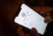 official business contact numbers