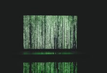 search for contact information